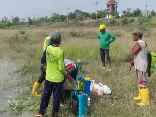 Gotong Royong Ala NU, Warga Rejoso Nganjuk Tanam Jagung untuk Bangun Masjid