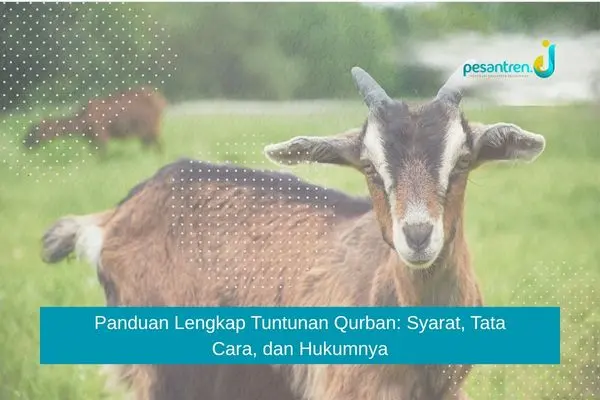 Panduan Lengkap Tuntunan Qurban: Syarat, Tata Cara, dan Hukumnya
